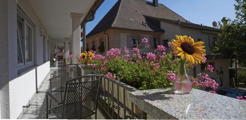 Hotel Lowen Garni Oberrimsingen Kültér fotó